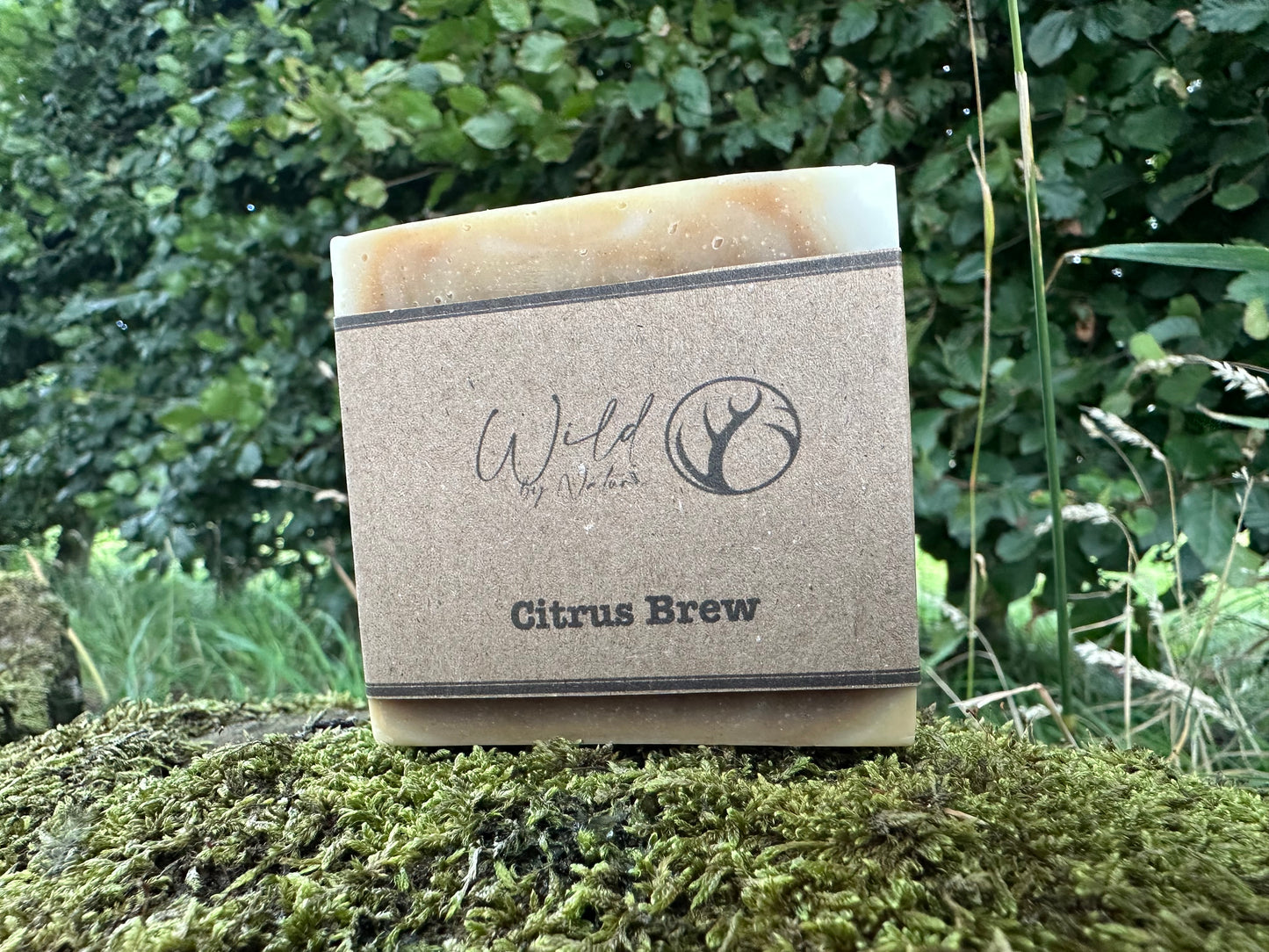 Citrus Brew