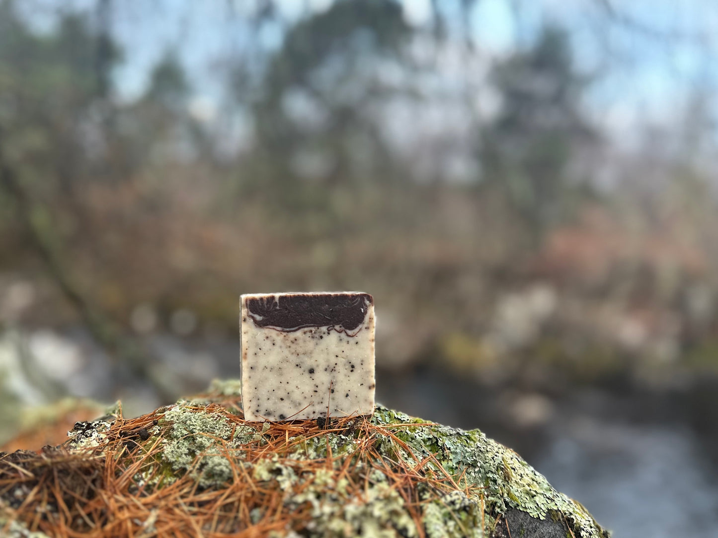 Bergamot & Beans, Bergamot, Chocolate and Coffee Soap