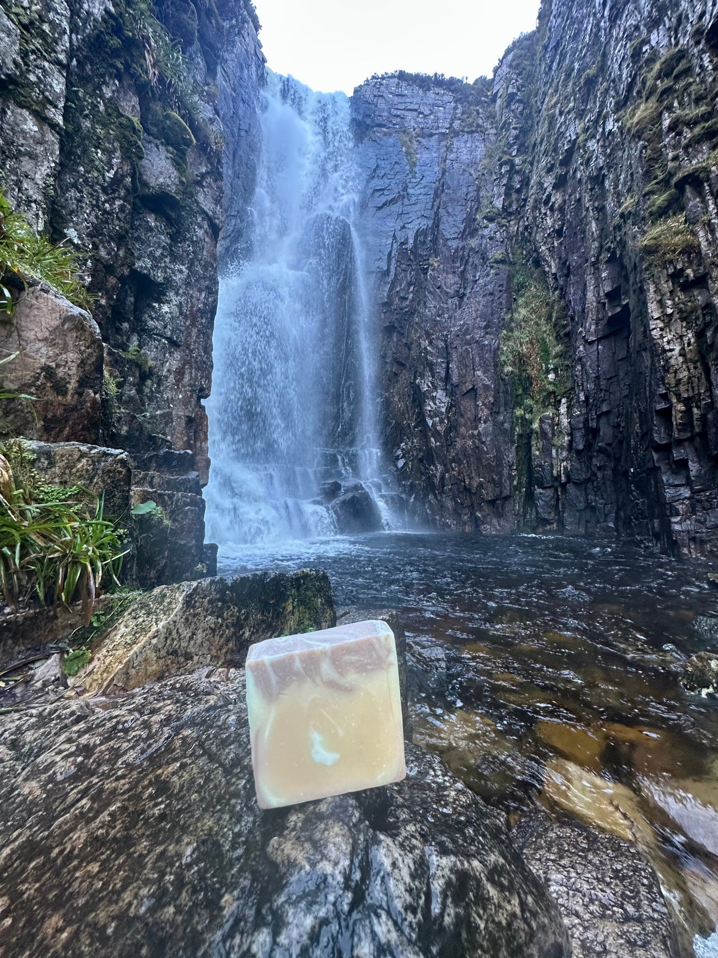 Wild Alchemy, Lavender, Lemongrass & Patchouli Tallow Soap
