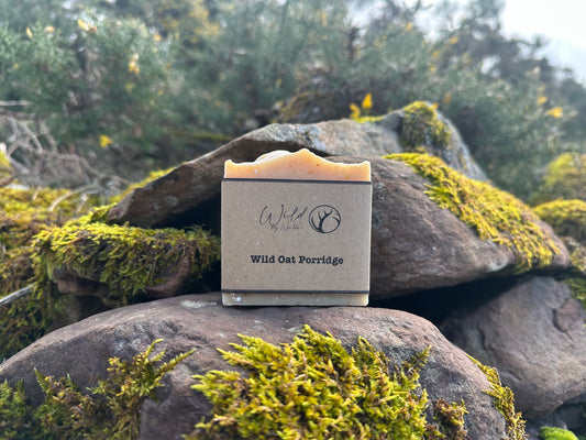 Wild Oat Porridge
