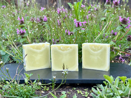 Hemp & Tallow