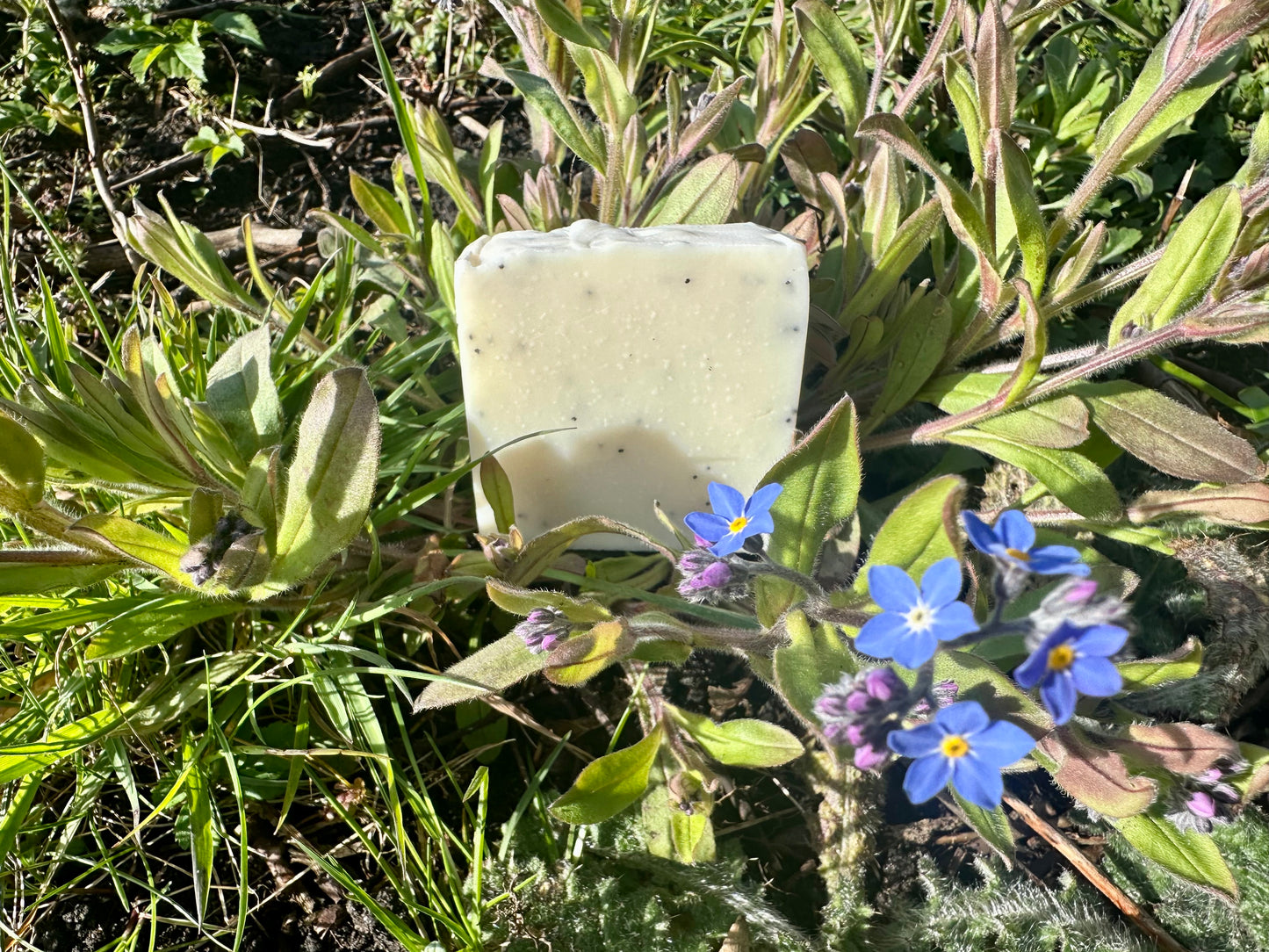 Deity, Grapefruit, Bergamot & Jasmine Tallow Soap