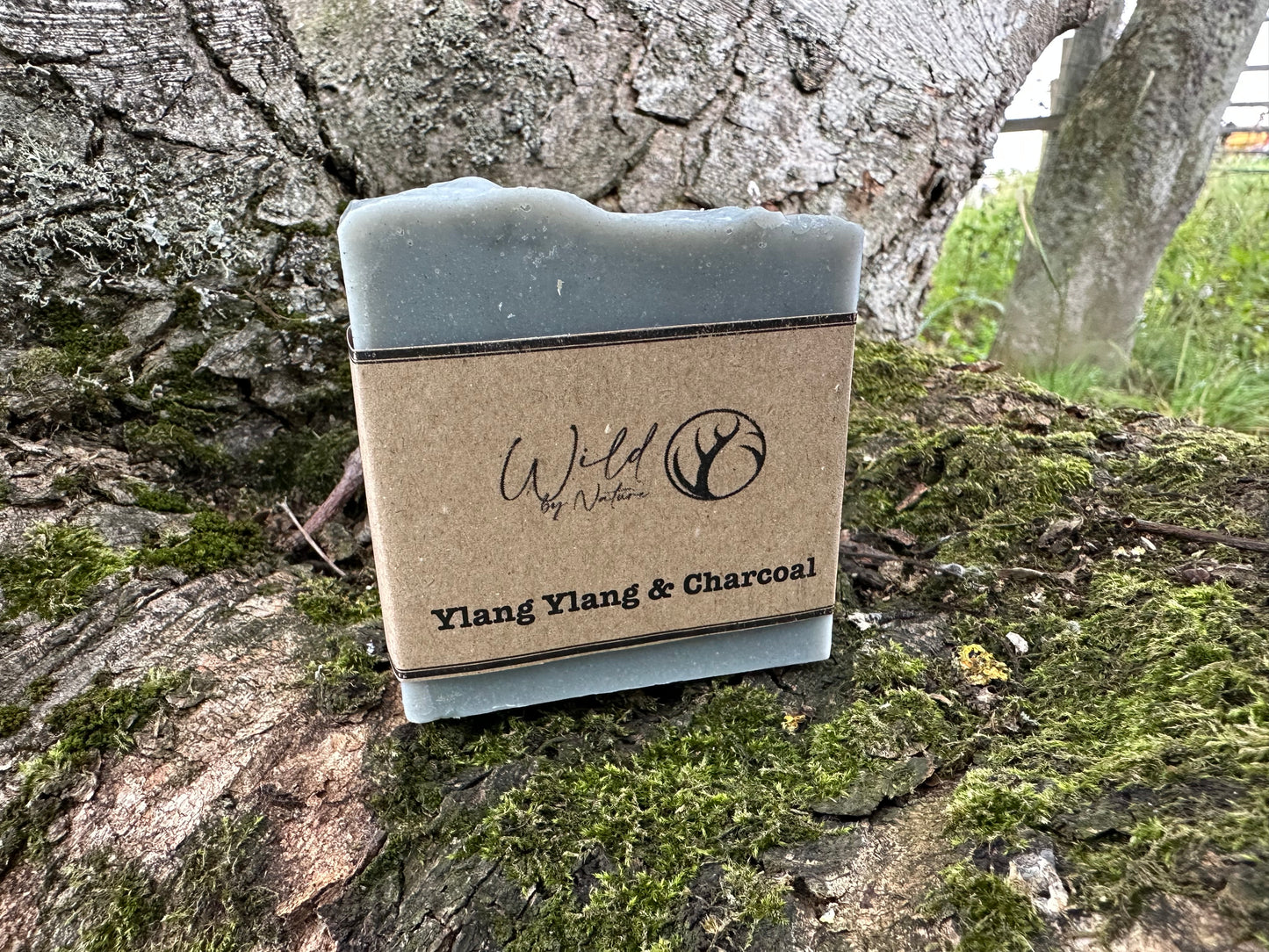 Ylang Ylang & Charcoal